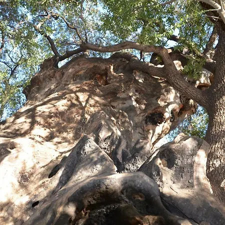 Balloon Apartamento *