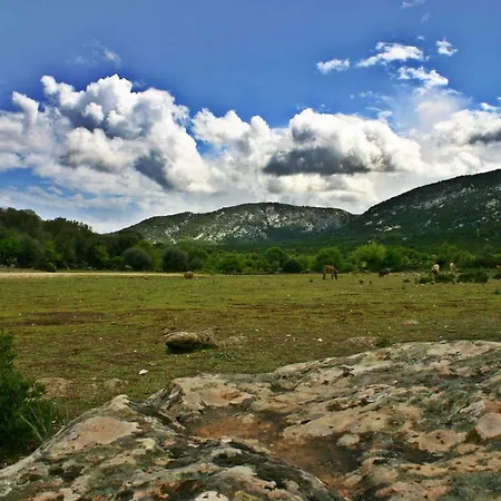 Balloon Apartamento *