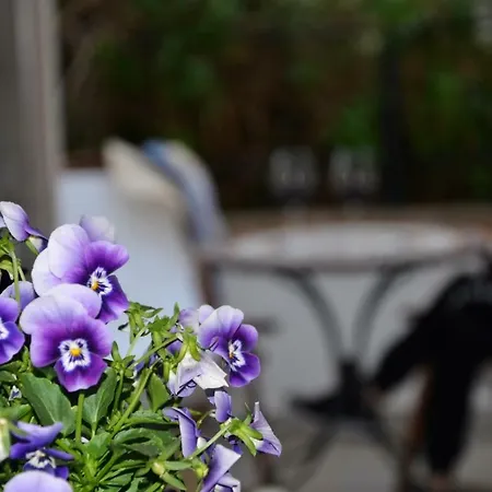 Lejlighed Balloon Santa Maria Navarrese